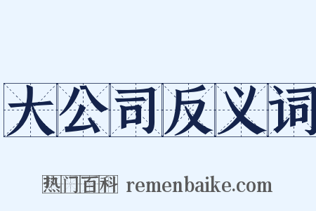 大公司反义词是什么意思的图片